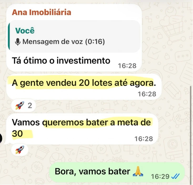 Print completo de Ana sobre o investimento, os 20 lotes já vendidos e a próxima meta.
